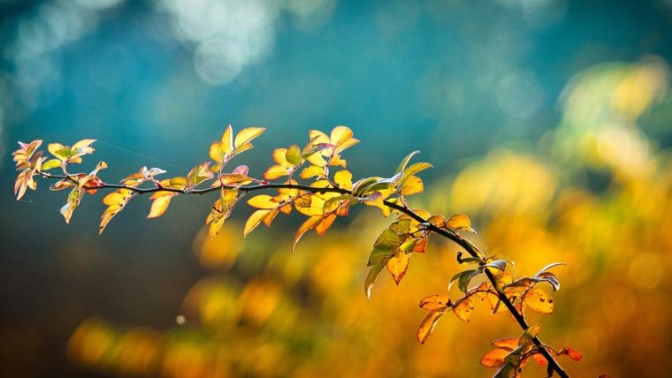 Retreat_Herbst Retreat